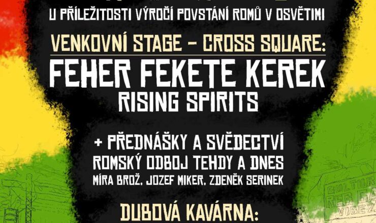 Culture Reggae Vibez Warm up